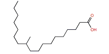 11-Methyloctadecanoic acid